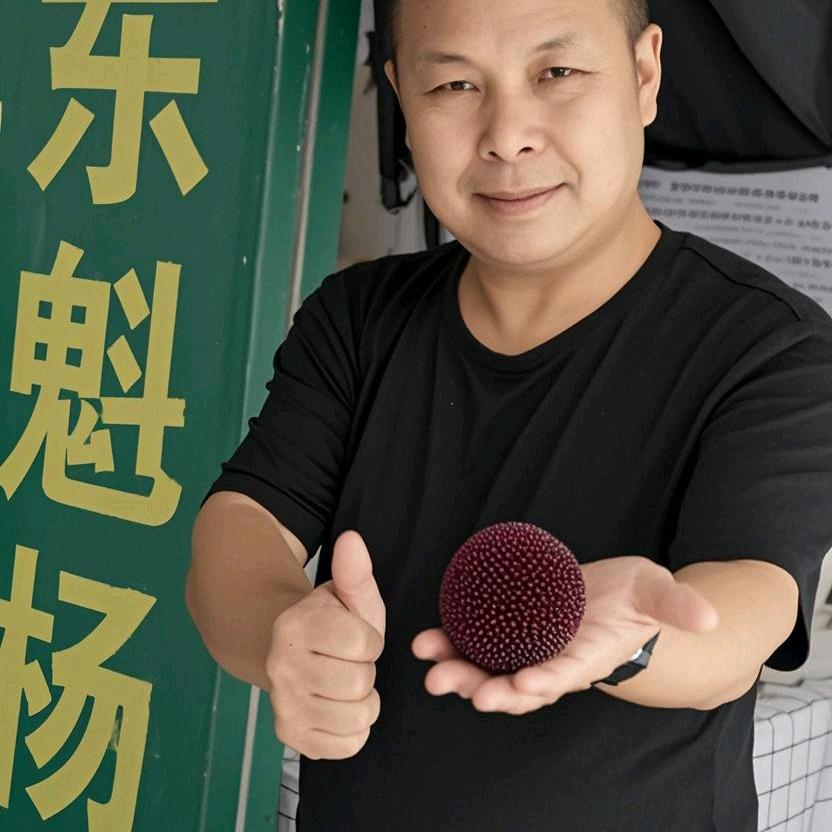托口东魁杨梅
