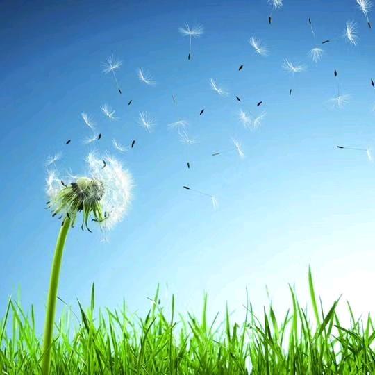 一个人的旅行