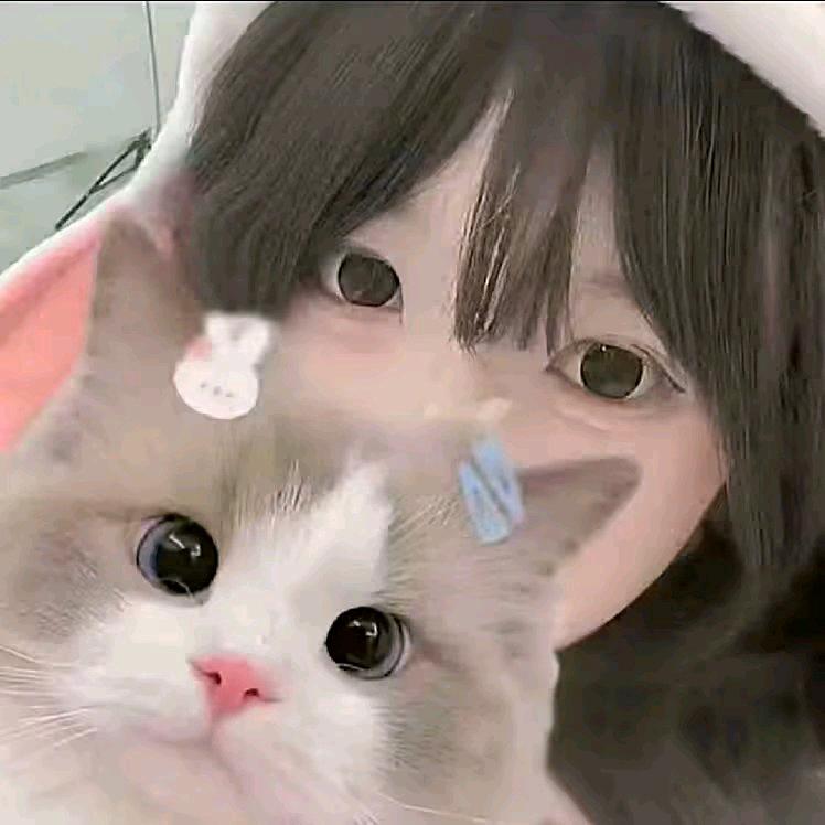 芒果樱花。🍋🌸