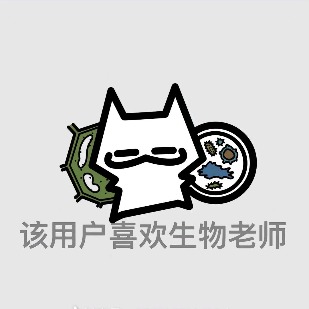 清屿头像
