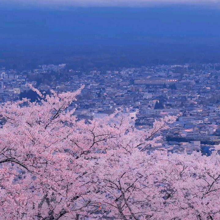 🐾᭄杉杉来迟ꦿᩚ༉💗