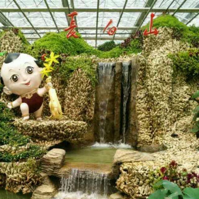 冬天的雪。🌺🌺