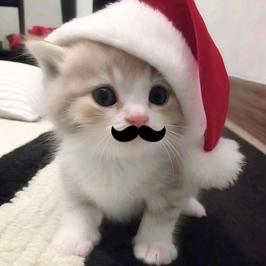 🌈无敌咪咕🌈