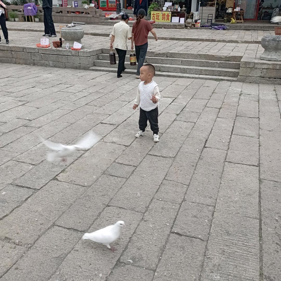 汉哥