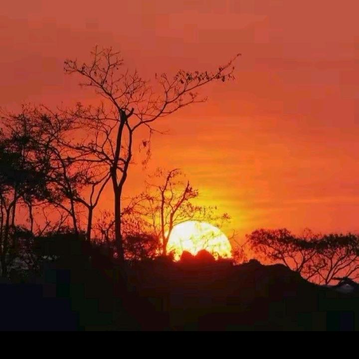 ˚𑁍ࠬܓ˚王者🌸天下꧀ᩚ࿐