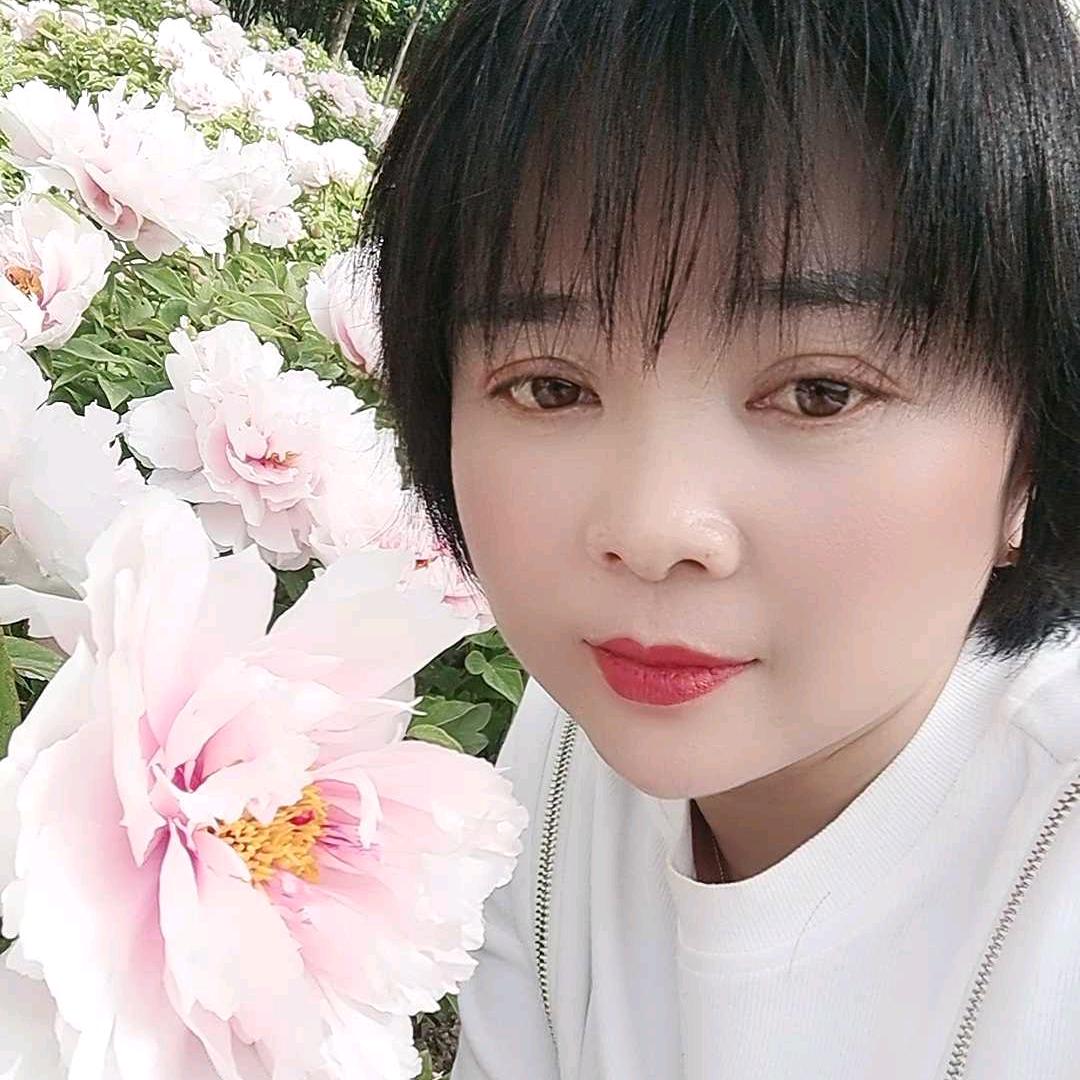 鸿启环卫