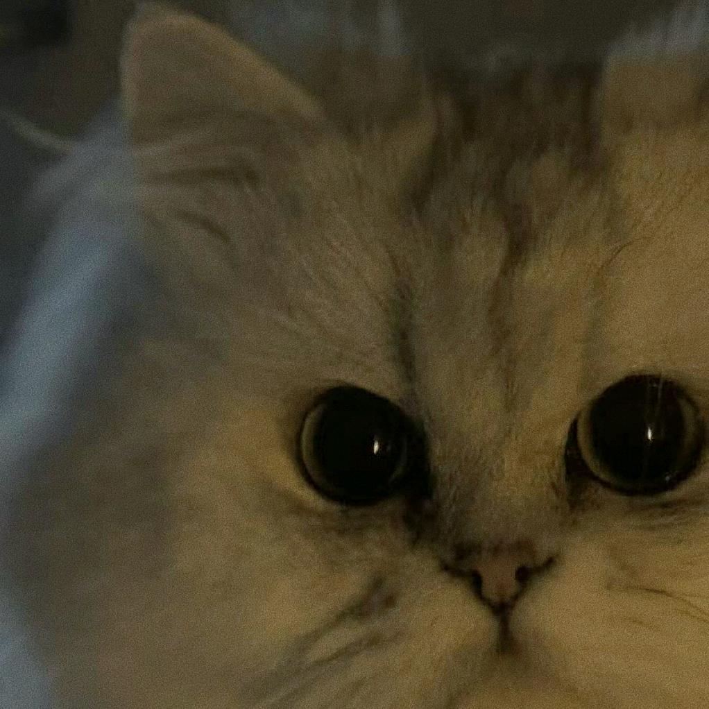 清水水