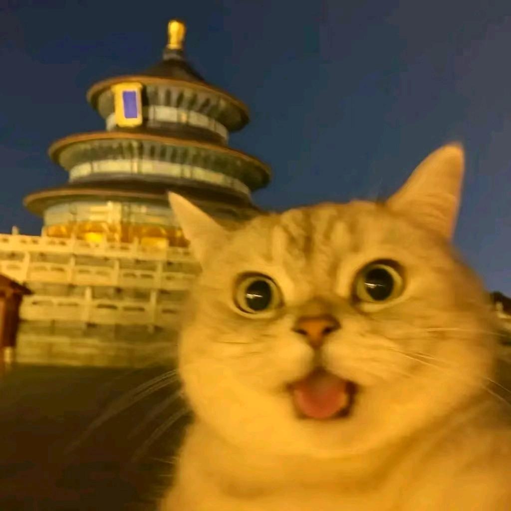 暖光萌物创意