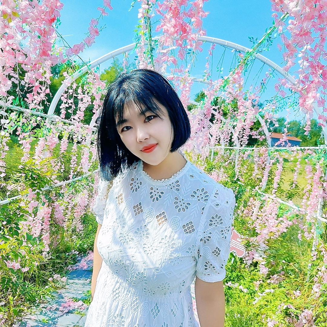 念心   🦊