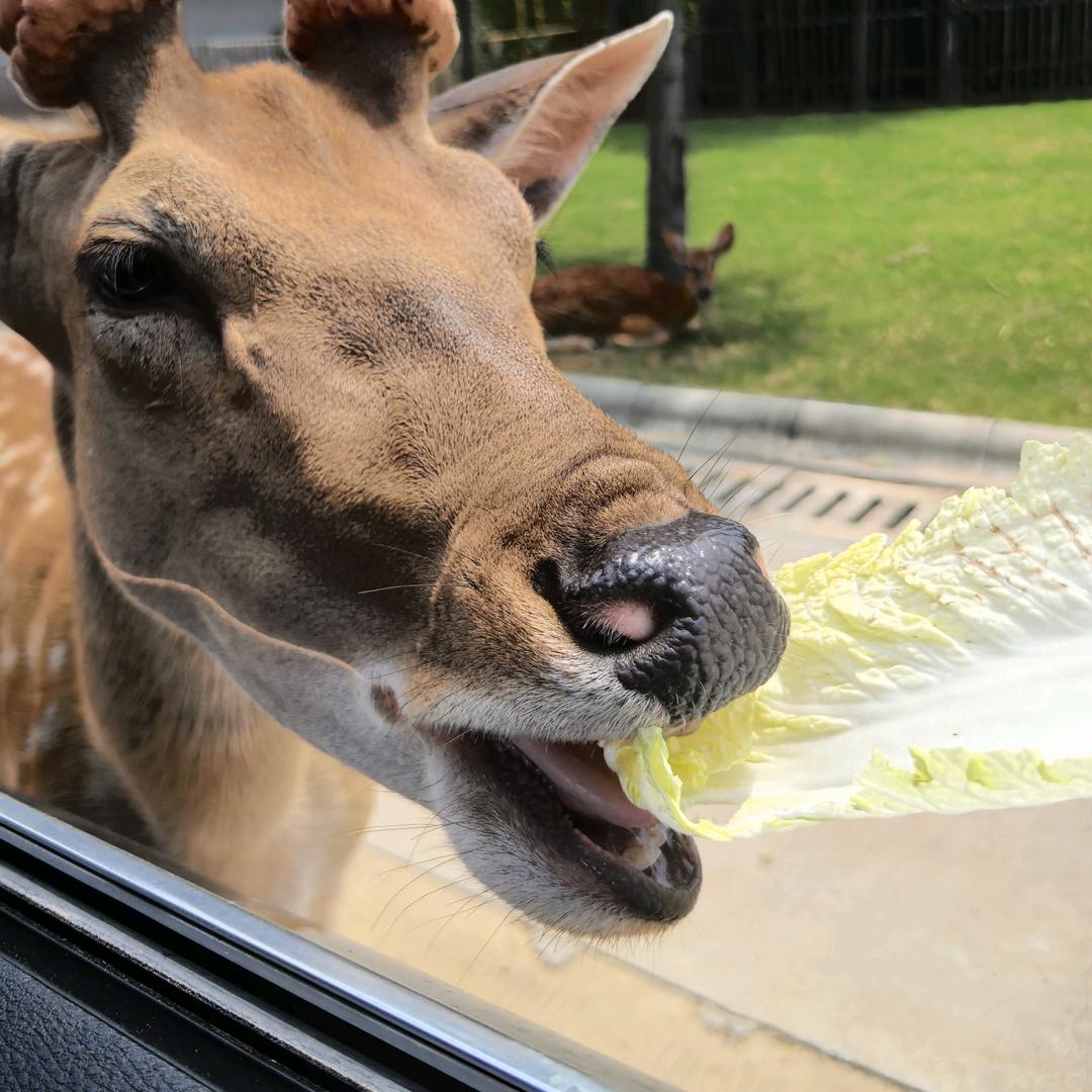 JoJo妈爱分享（母婴版）