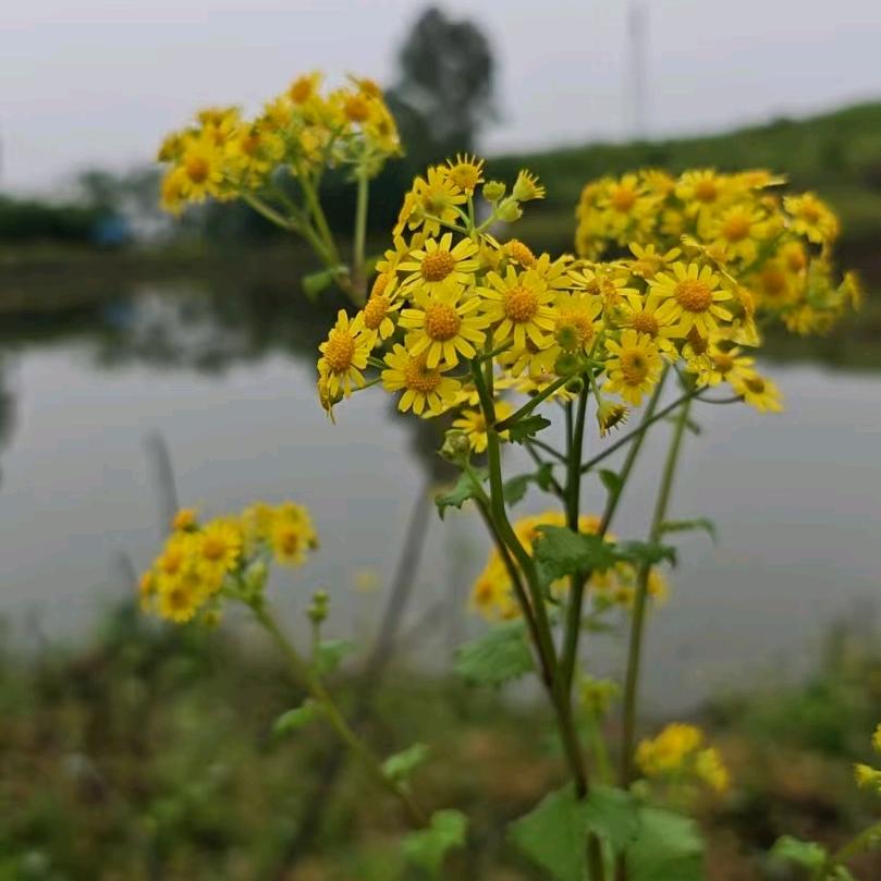 萍水相逢………
