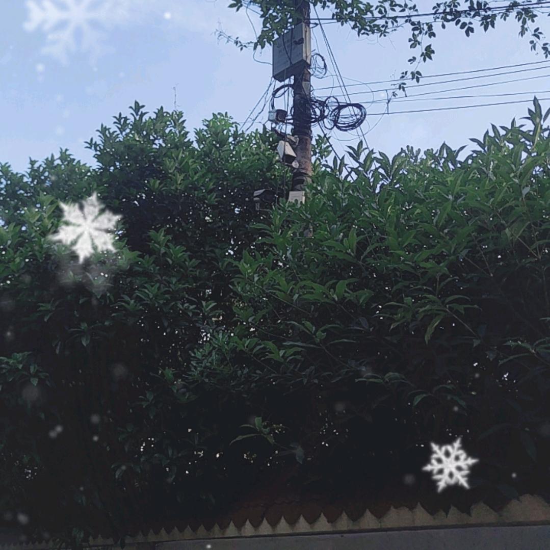 用户5863524264264勇于担当