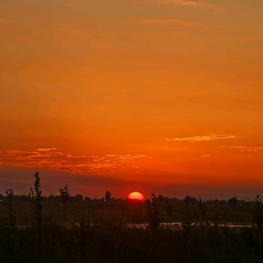 牵你左手╯看日出