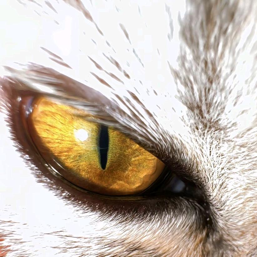 ㅤ⁥ ⁥⁥ ⁥⁥ ⁥