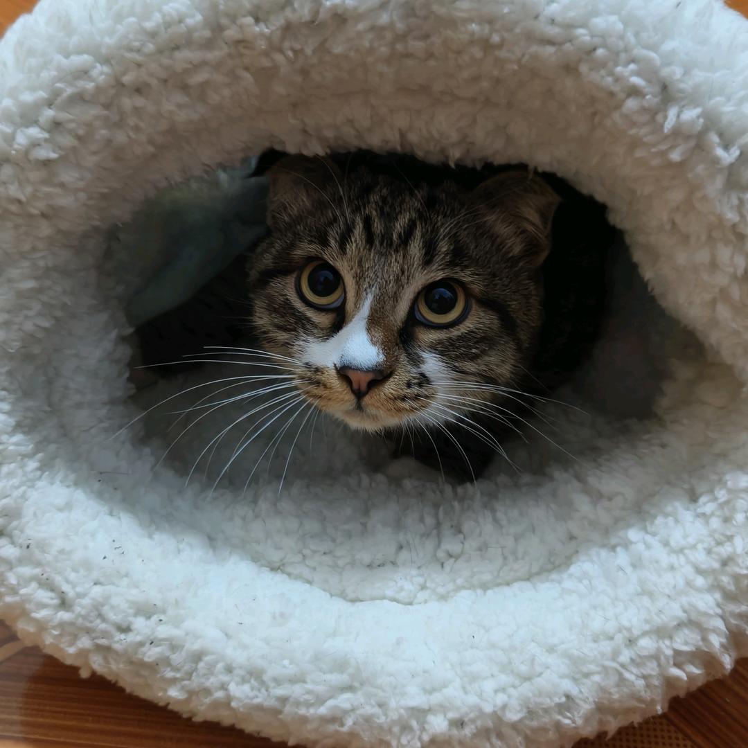 财神爷的宝贝变瘦变美变有钱（且身体健康