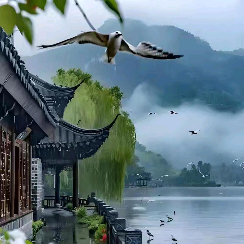 墨韵清风