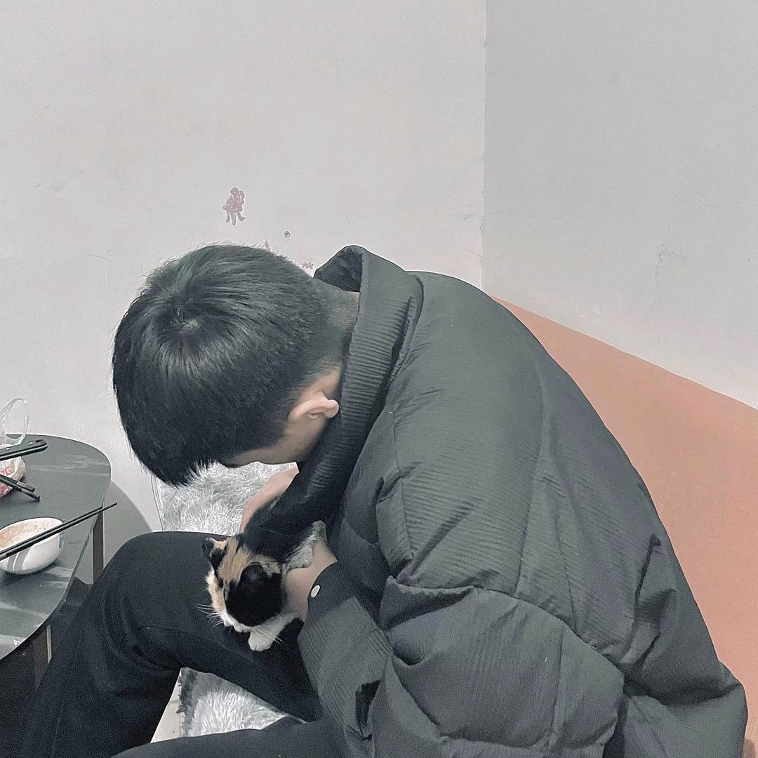 呆