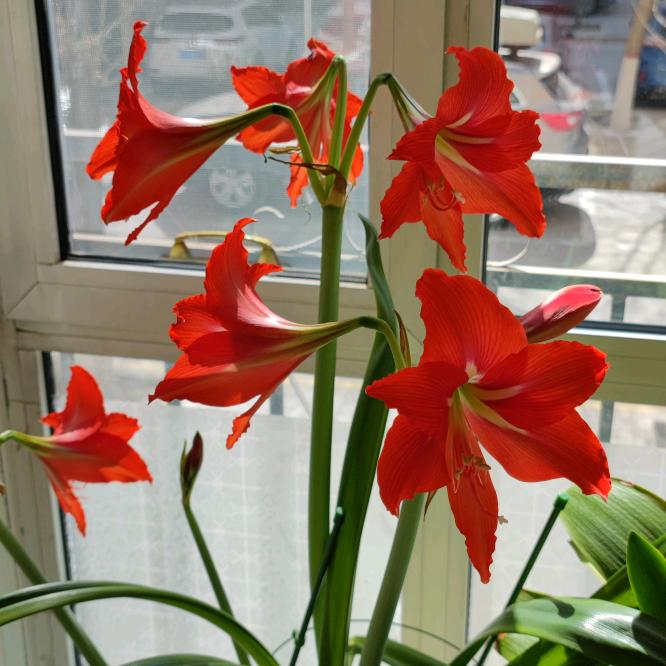 ♂♀蓝调≈