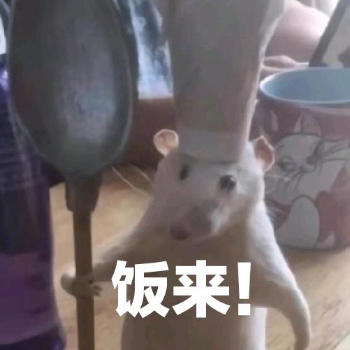 给木天才王小兆（三角洲行动）