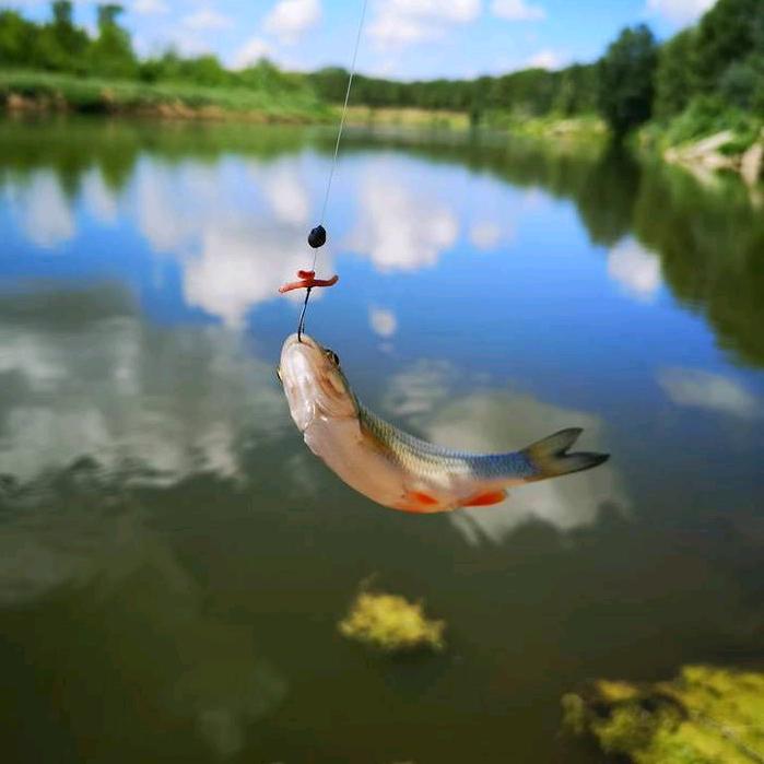 🌈有你 皆可期🌈