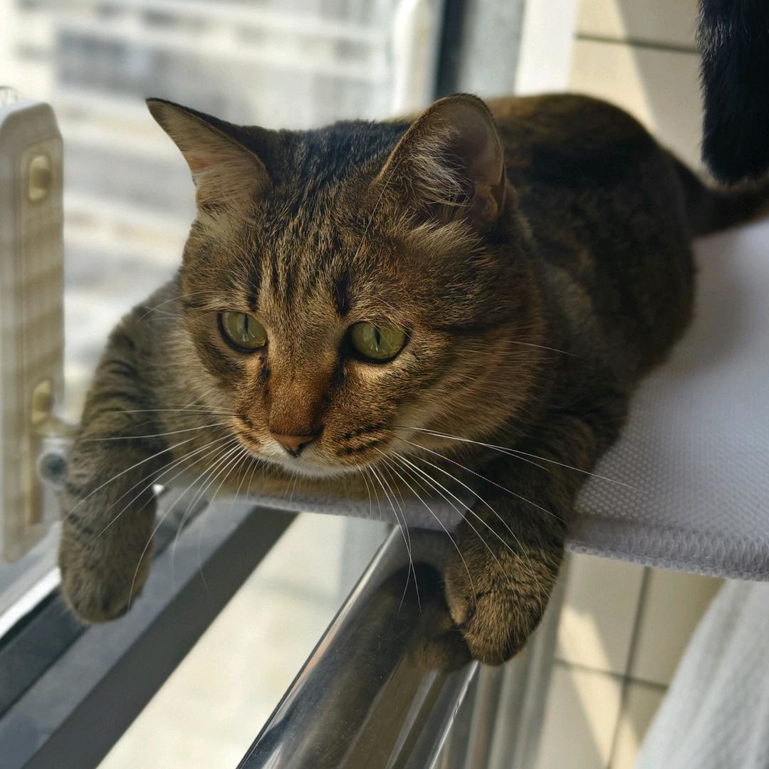 我很好呀「搓甲版」