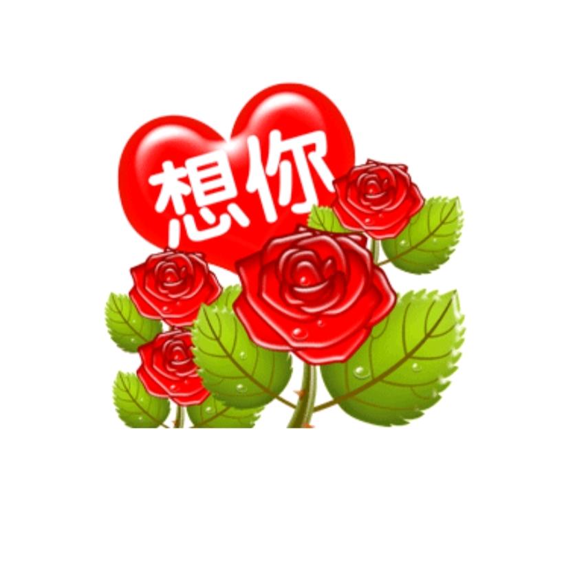 八月桂花香