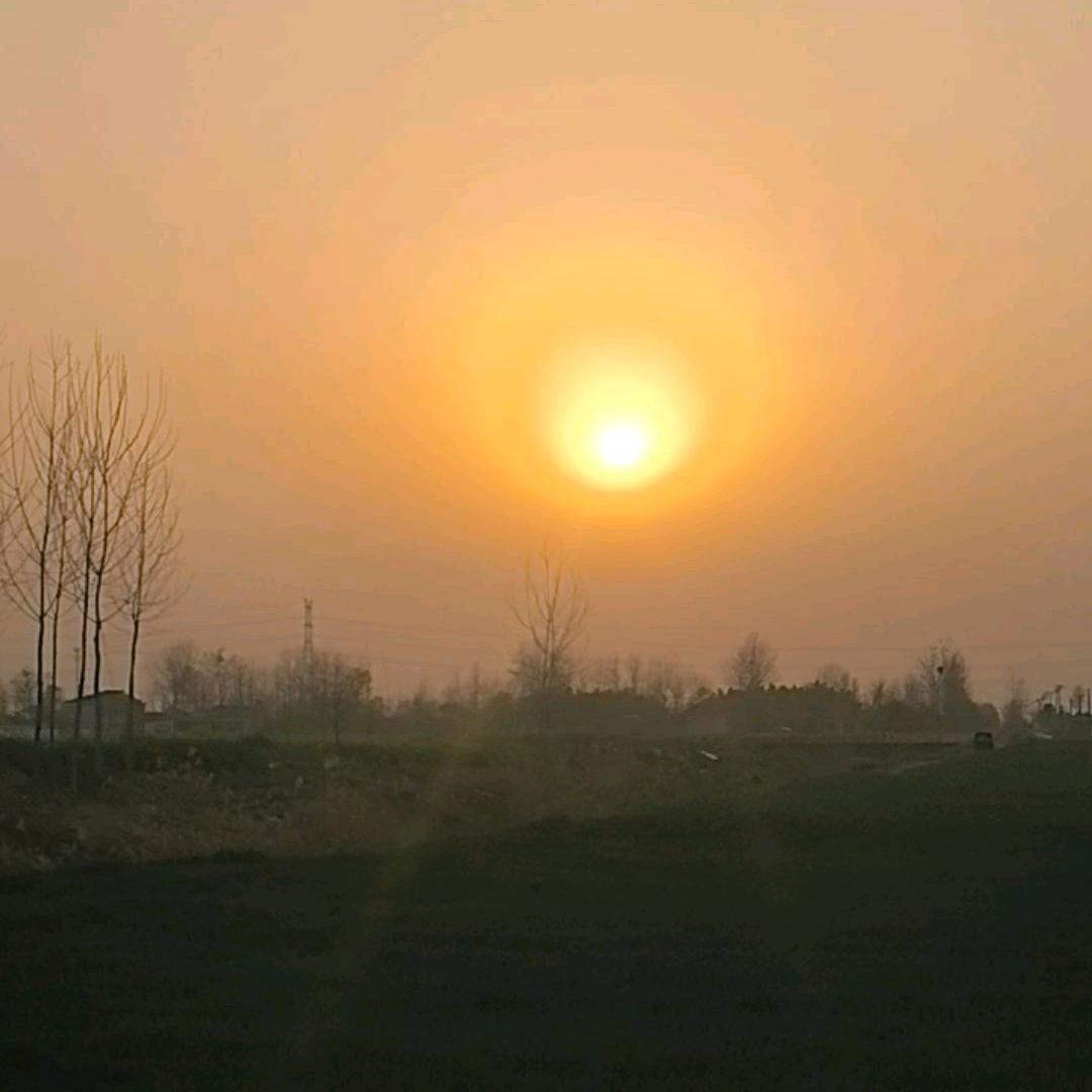 小宝