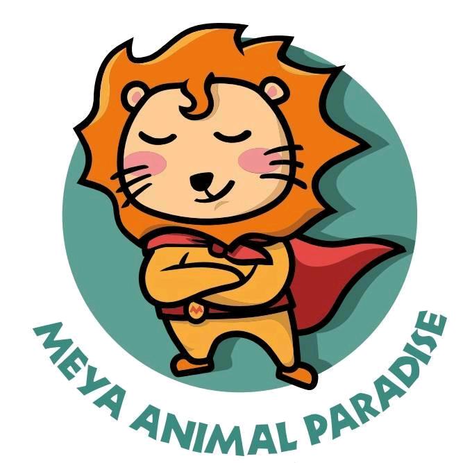 武汉萌呀神兽营地-彭