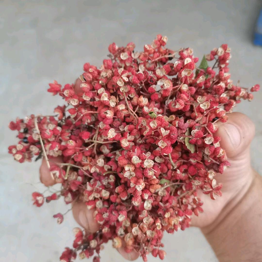 沙依巴克区江河市场晓亮调味品批发商行