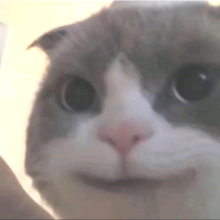 我tm吃吃吃吃吃吃吃