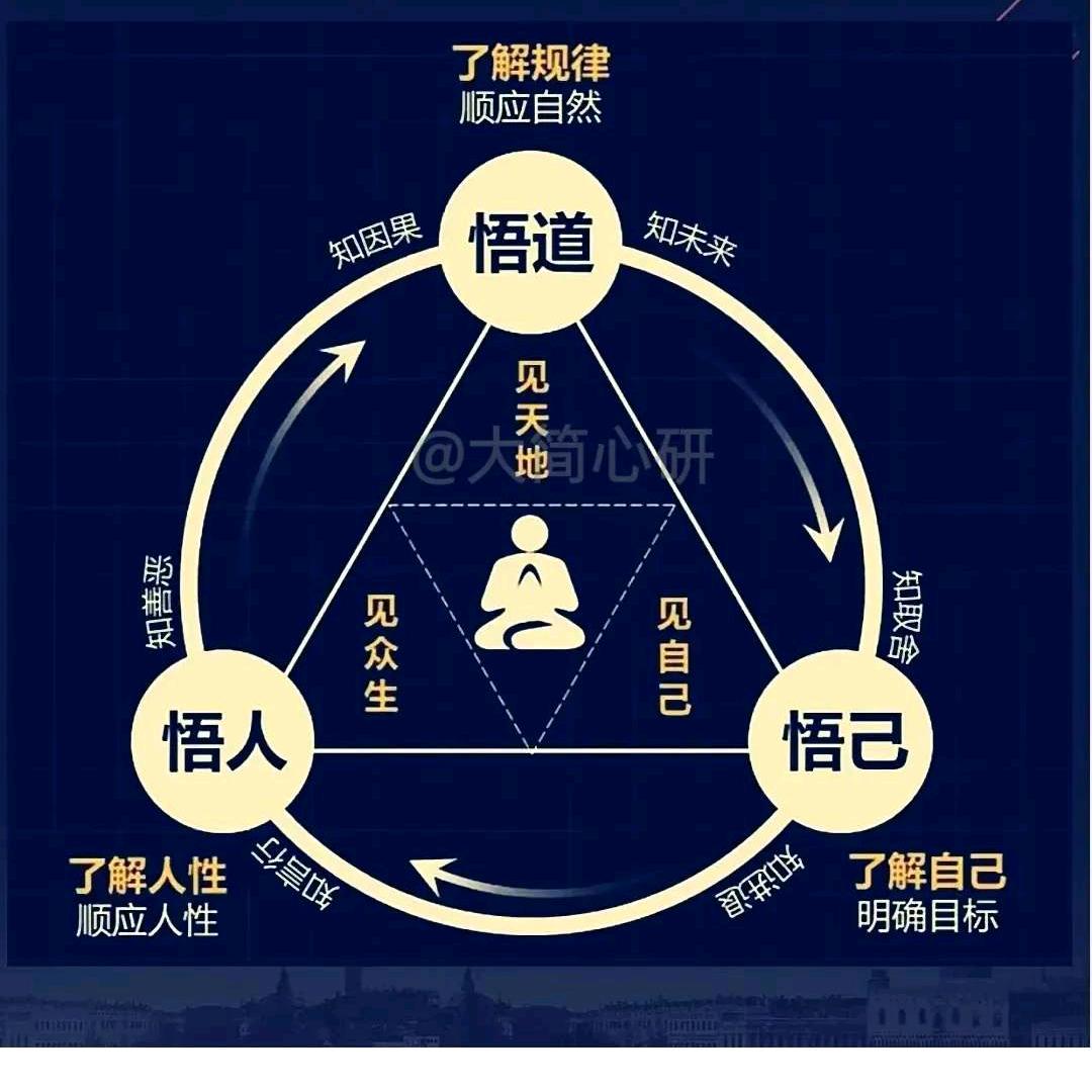 爱思考的海哥