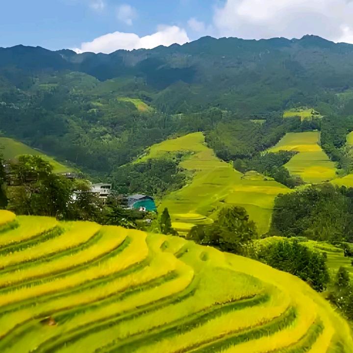 五常大米工厂直销