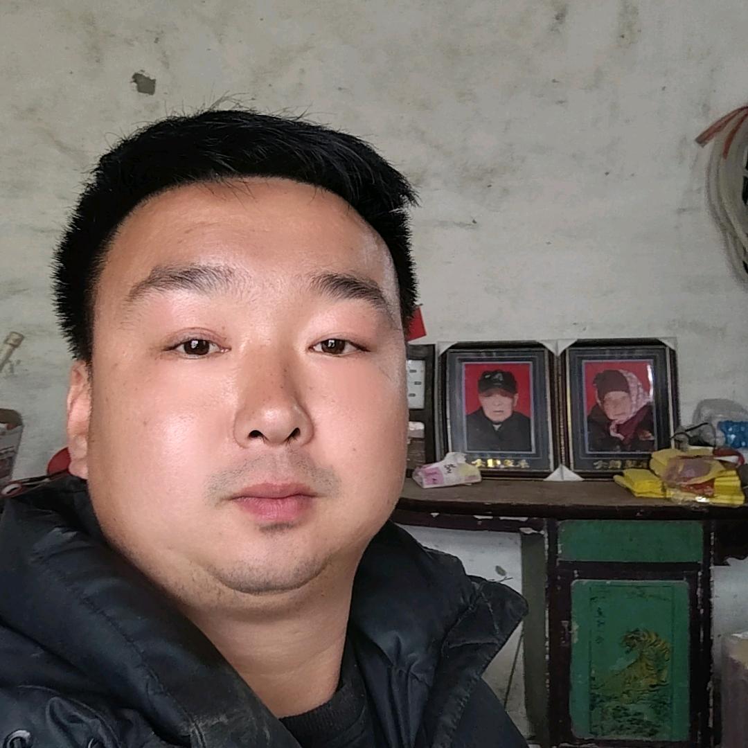 王萌：收狗：寿衣花圈
