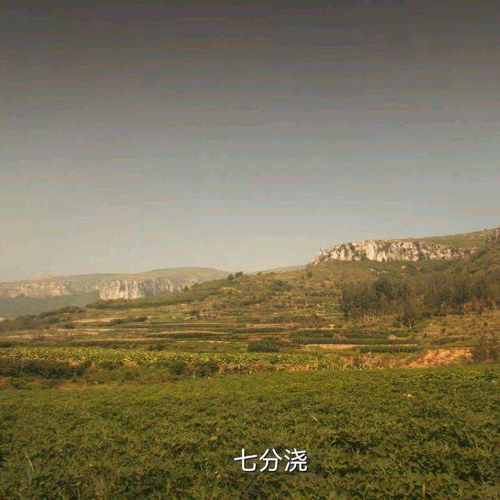 如此而已