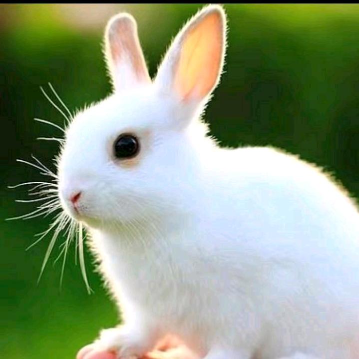 ☀🏧㊙半毛钱沒有👉不敢逛抖音🐬🏄