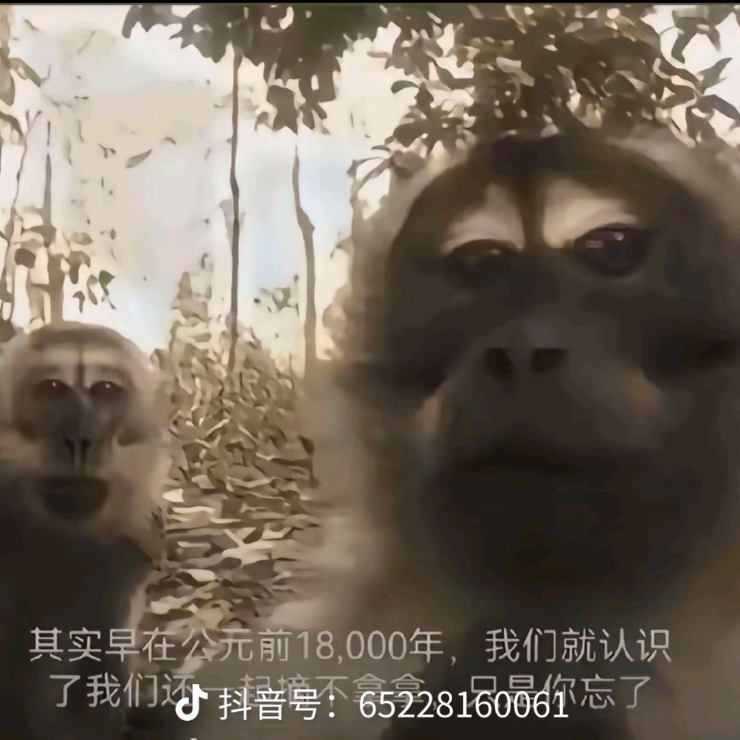 无果