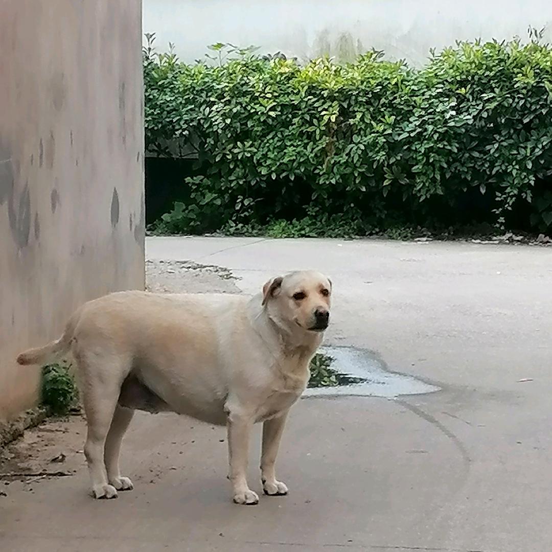 爱音乐爱生活