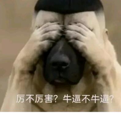 🌈我再也不迟到了