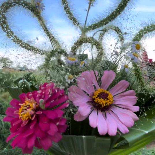 ღ᭄💕呵呵ღ᭄🍒: