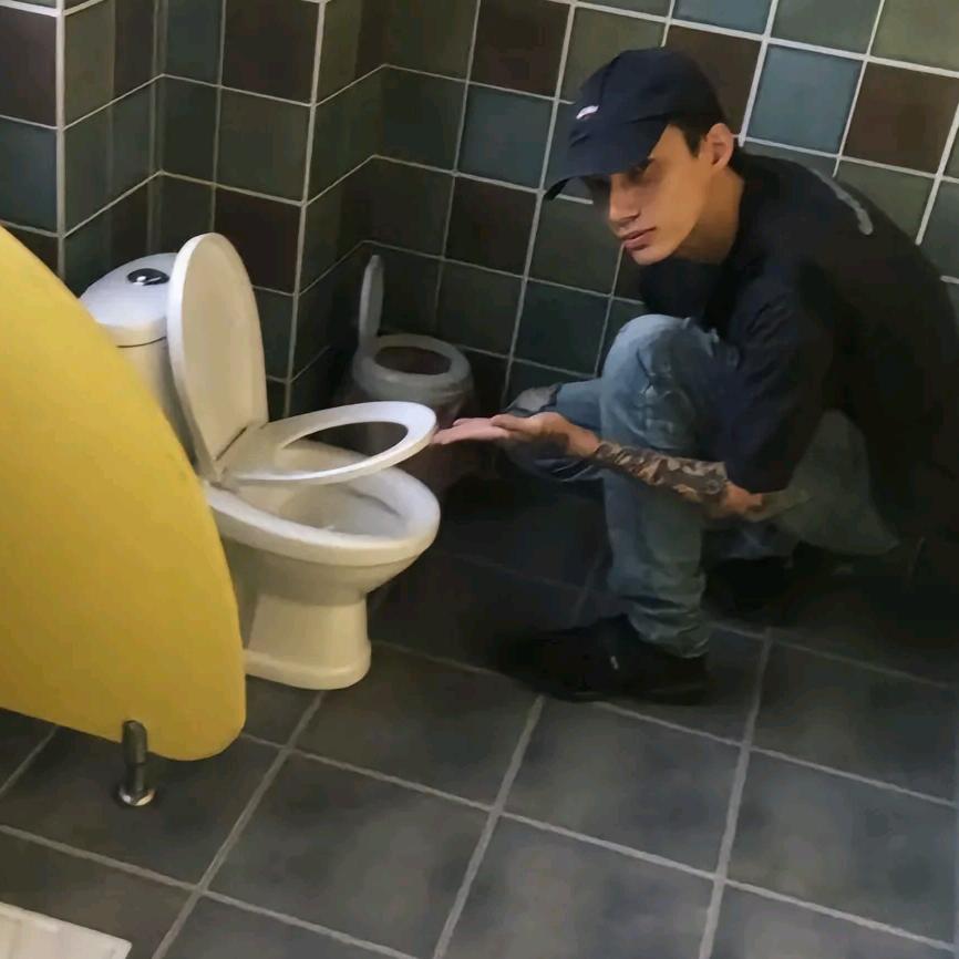 完蛋玩意