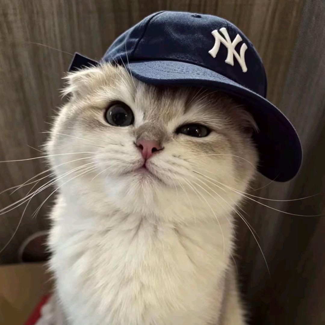她爸.头像