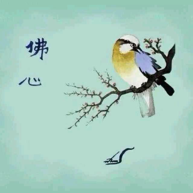 星空🦋下的初吻