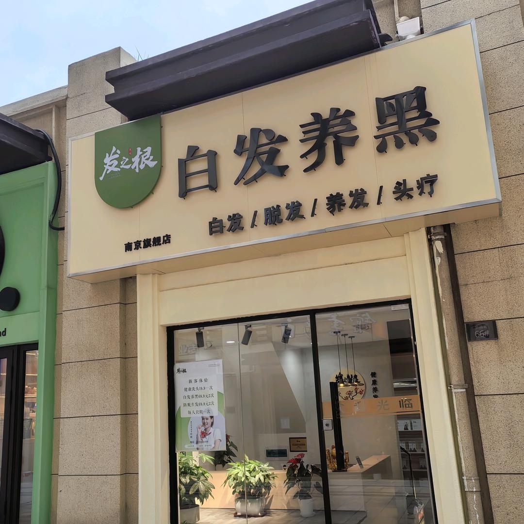 发之根白发养黑