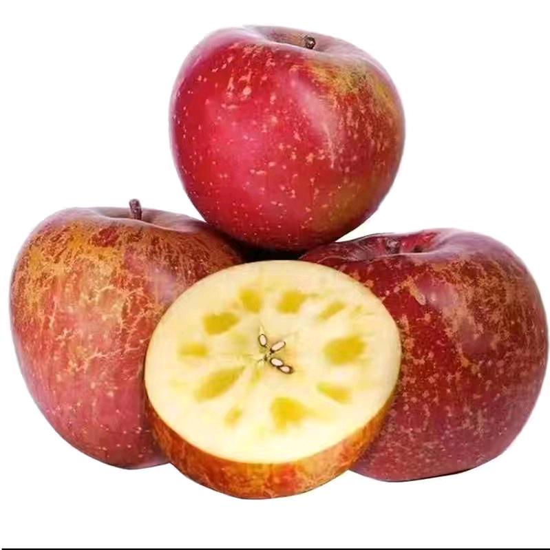 鲜果农庄园（供应链）