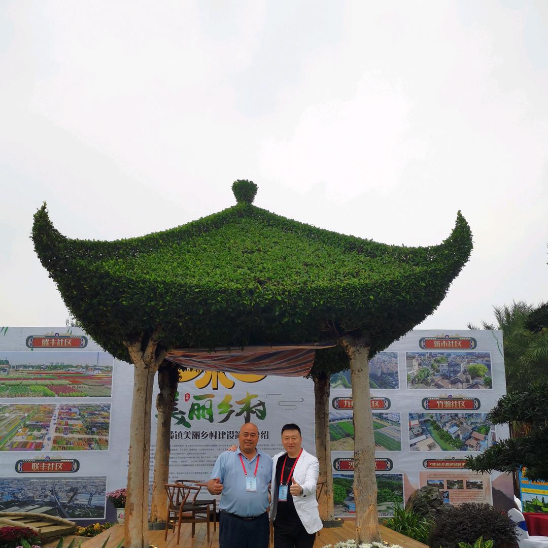 长兴花场