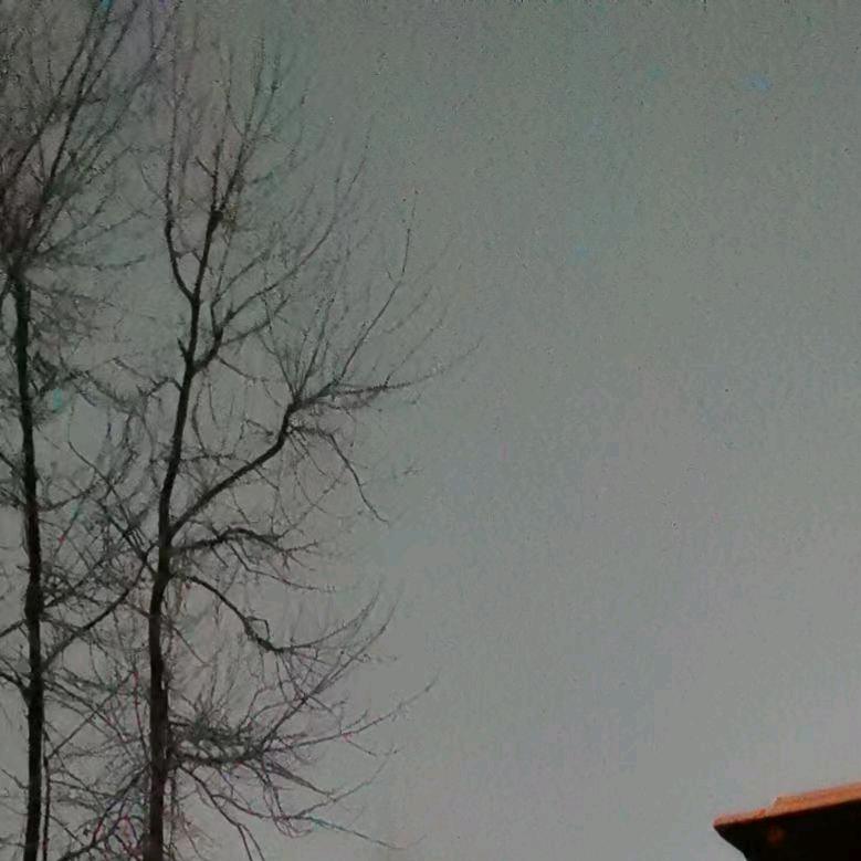 沧海一声思密达