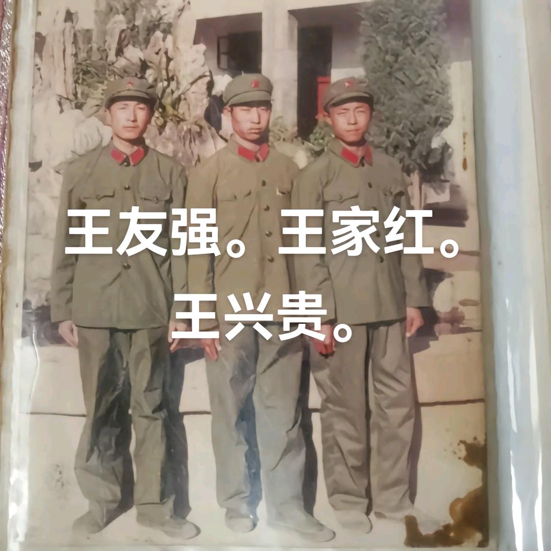 王兴贵