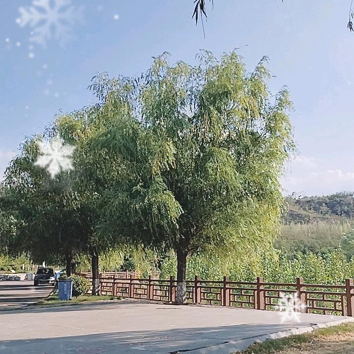 平平淡淡