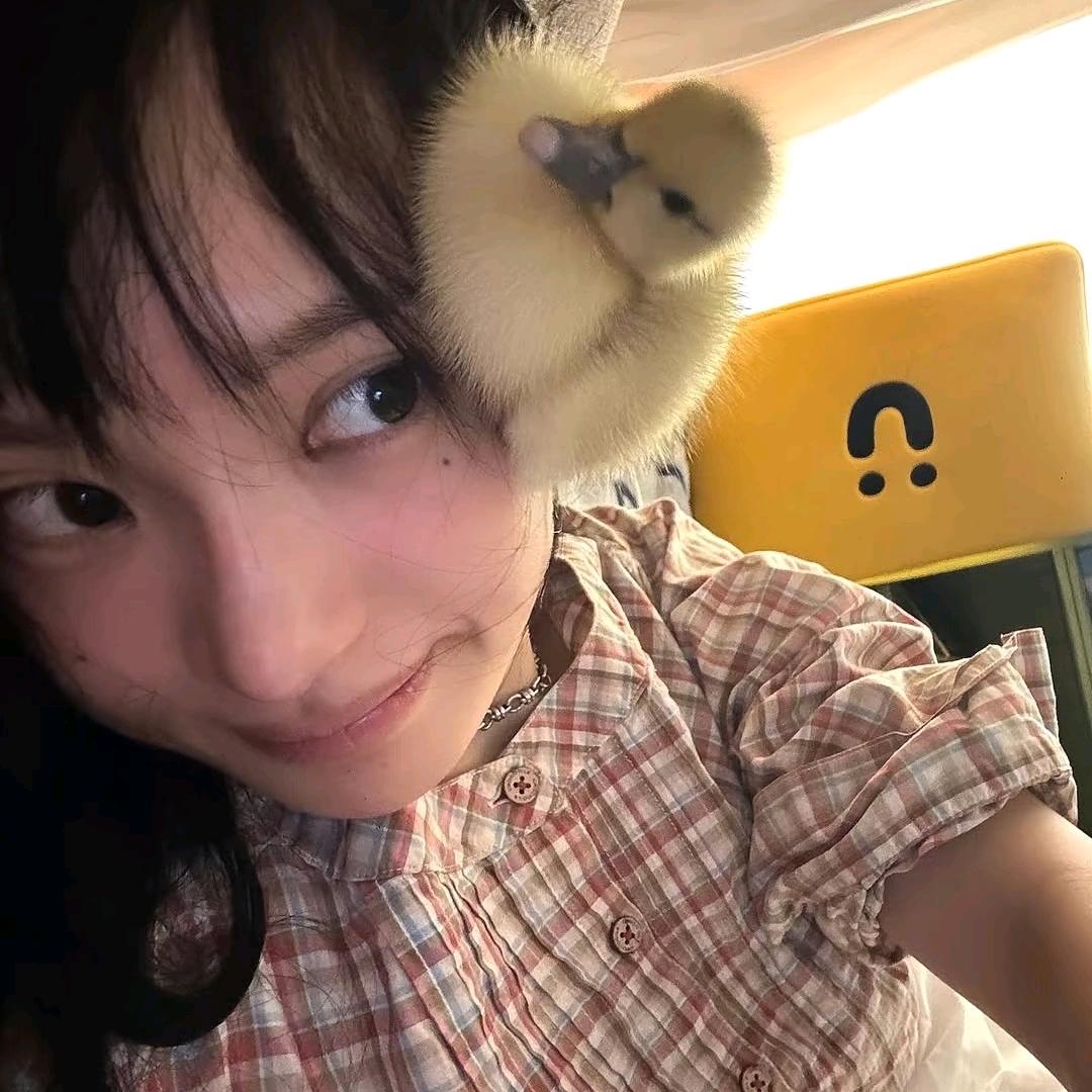 是只眠羊