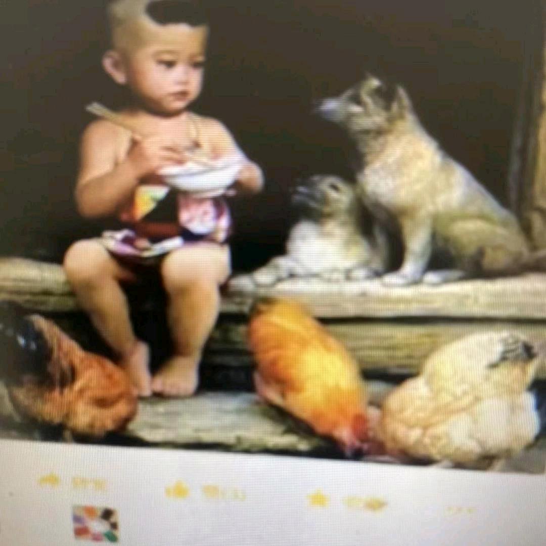 🌸卡米多多🌿